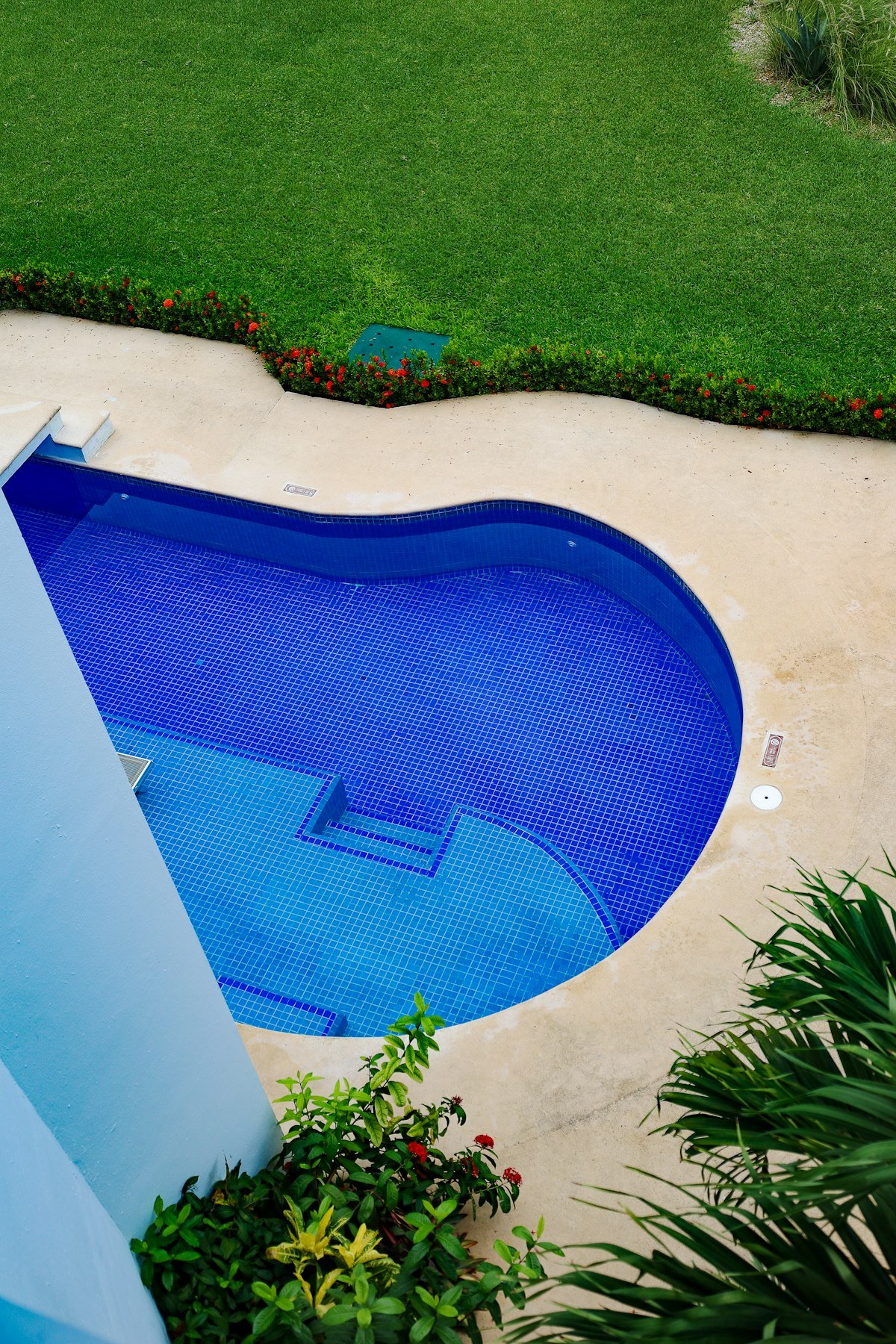 Stunning custom backyard pool showing premium pool builder craftsmanship